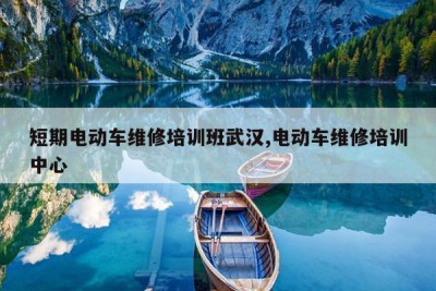 短期电动车维修培训班武汉,电动车维修培训中心